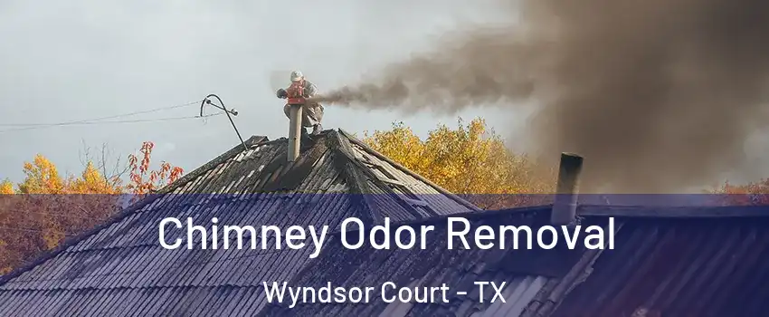 Chimney Odor Removal Wyndsor Court - TX
