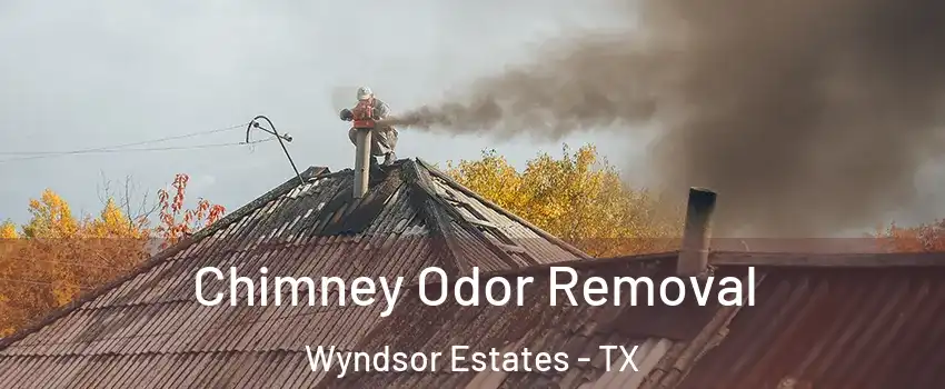 Chimney Odor Removal Wyndsor Estates - TX