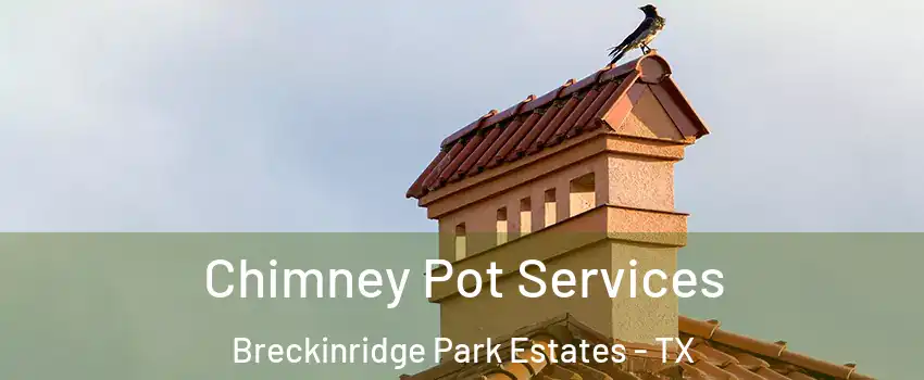 Chimney Pot Services Breckinridge Park Estates - TX