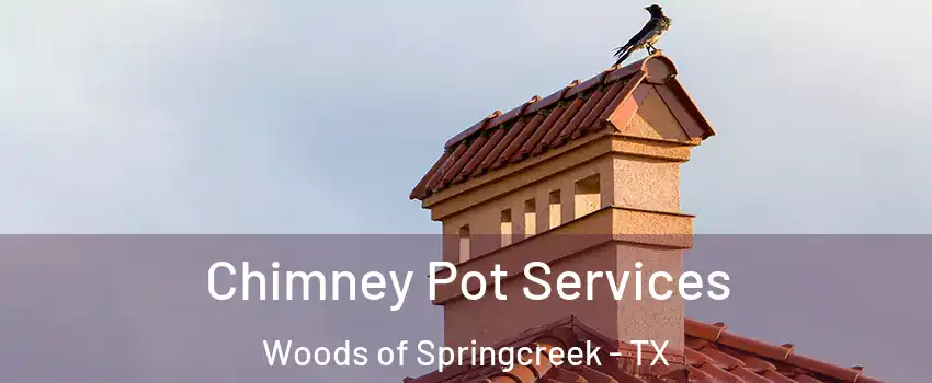 Chimney Pot Services Woods of Springcreek - TX