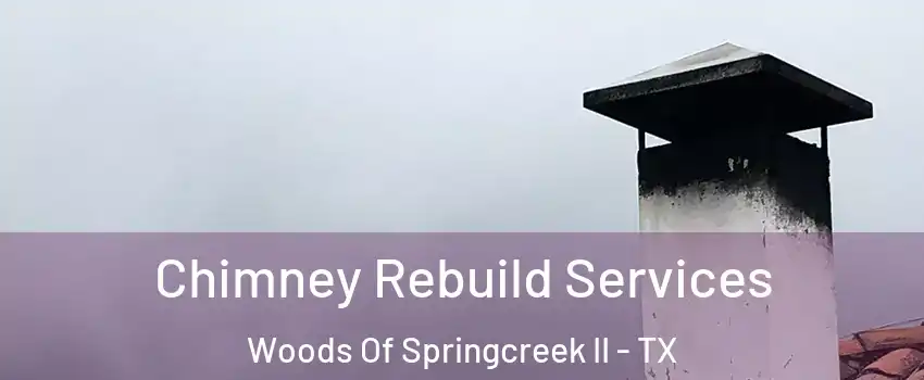 Chimney Rebuild Services Woods Of Springcreek II - TX