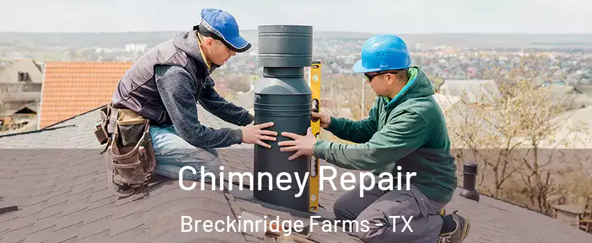 Chimney Repair Breckinridge Farms - TX