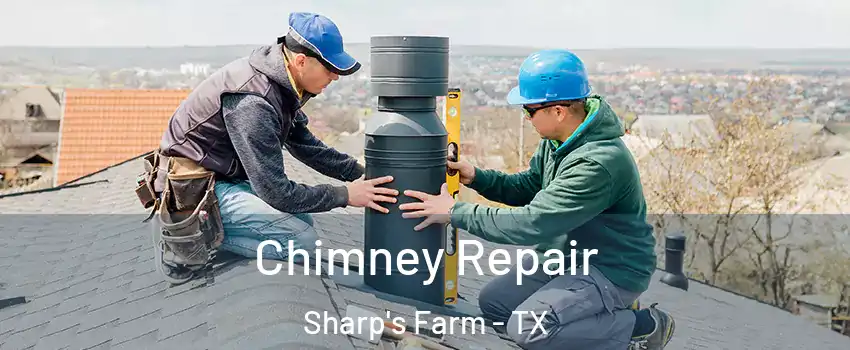Chimney Repair Sharp's Farm - TX