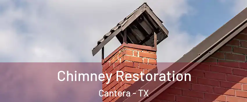 Chimney Restoration Cantera - TX