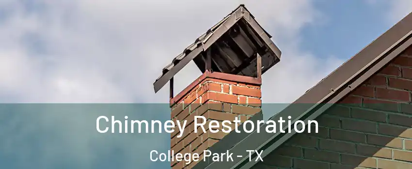 Chimney Restoration College Park - TX
