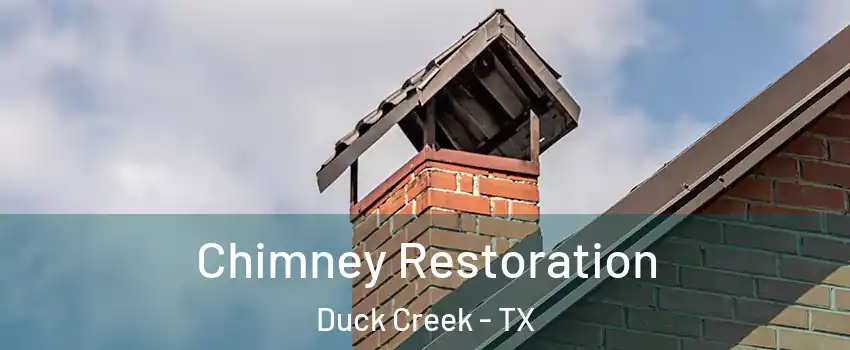 Chimney Restoration Duck Creek - TX