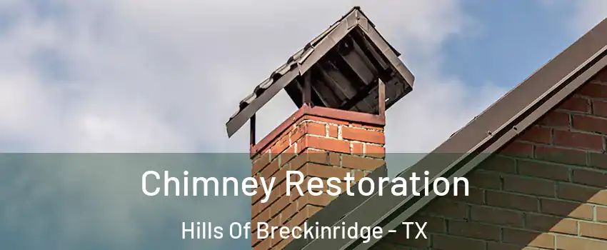 Chimney Restoration Hills Of Breckinridge - TX