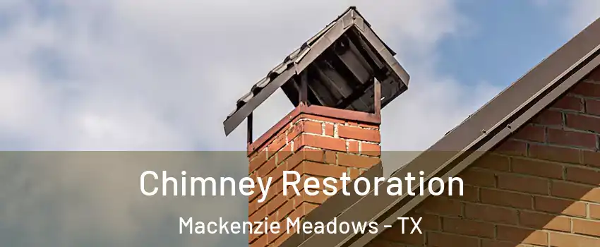 Chimney Restoration Mackenzie Meadows - TX