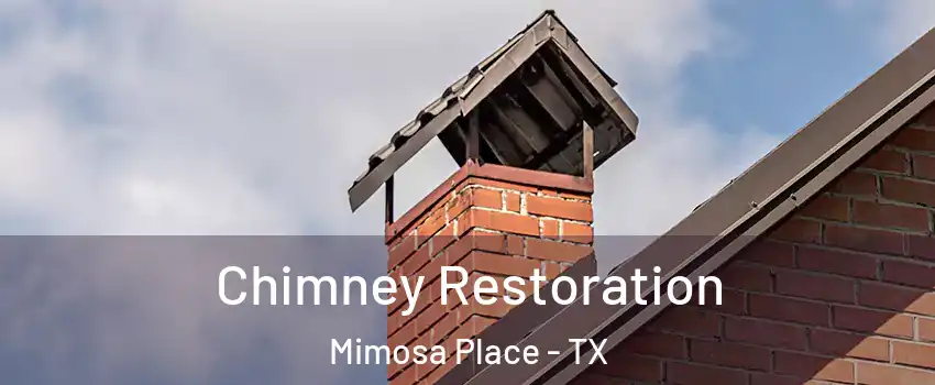 Chimney Restoration Mimosa Place - TX