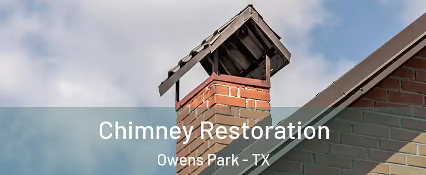 Chimney Restoration Owens Park - TX