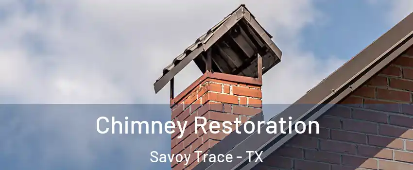 Chimney Restoration Savoy Trace - TX