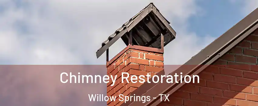 Chimney Restoration Willow Springs - TX