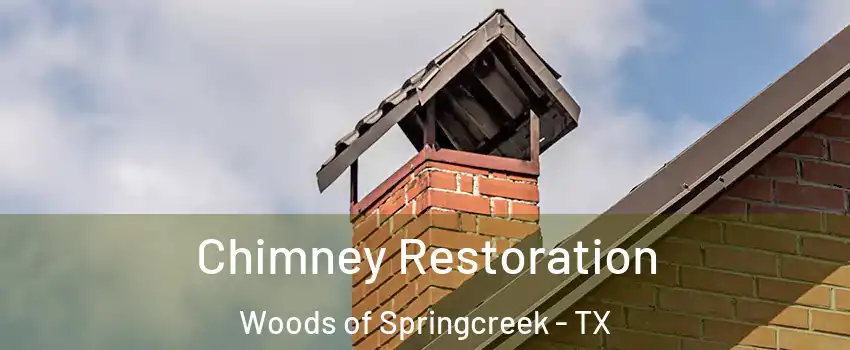 Chimney Restoration Woods of Springcreek - TX