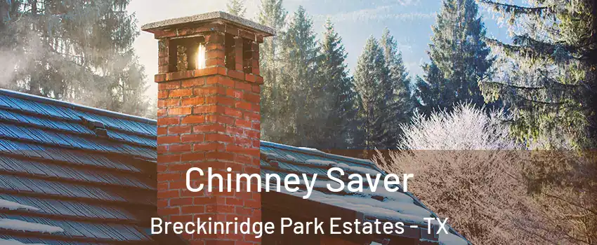 Chimney Saver Breckinridge Park Estates - TX