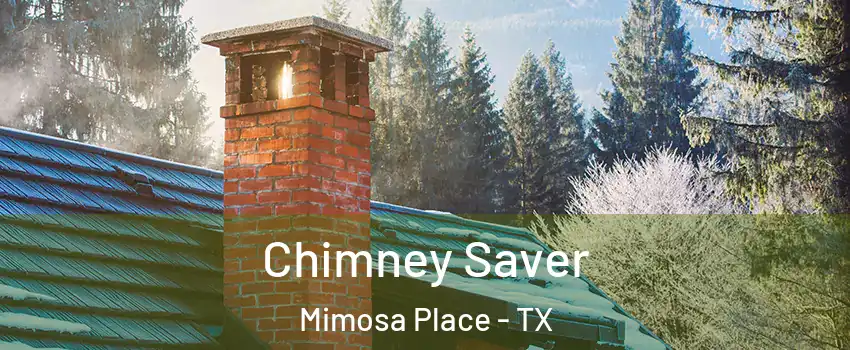 Chimney Saver Mimosa Place - TX