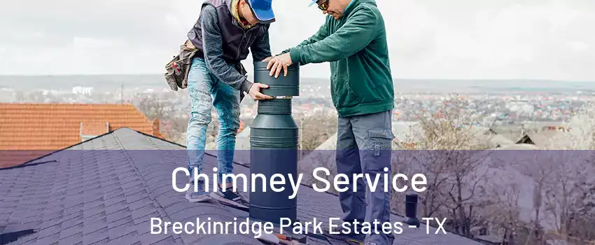 Chimney Service Breckinridge Park Estates - TX