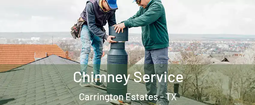 Chimney Service Carrington Estates - TX