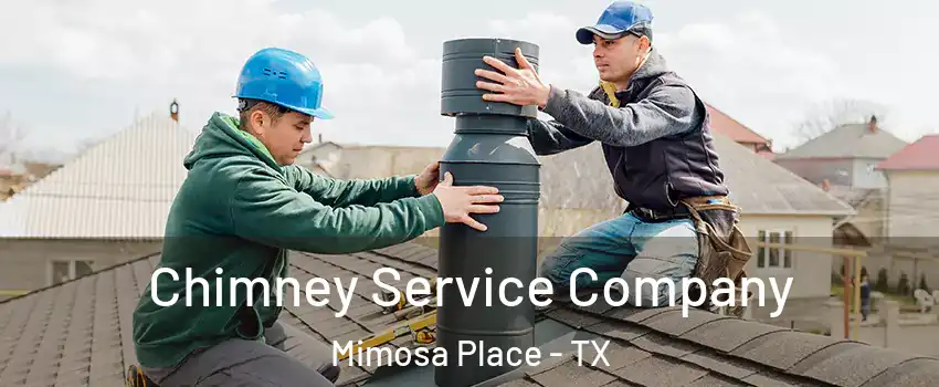 Chimney Service Company Mimosa Place - TX