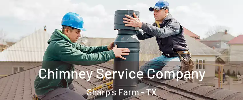 Chimney Service Company Sharp's Farm - TX