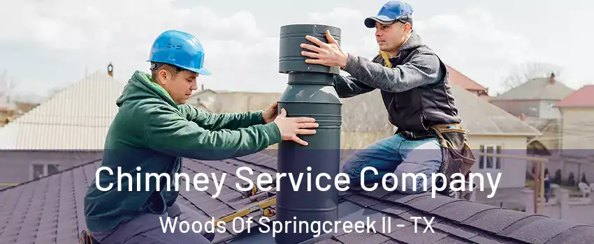 Chimney Service Company Woods Of Springcreek II - TX