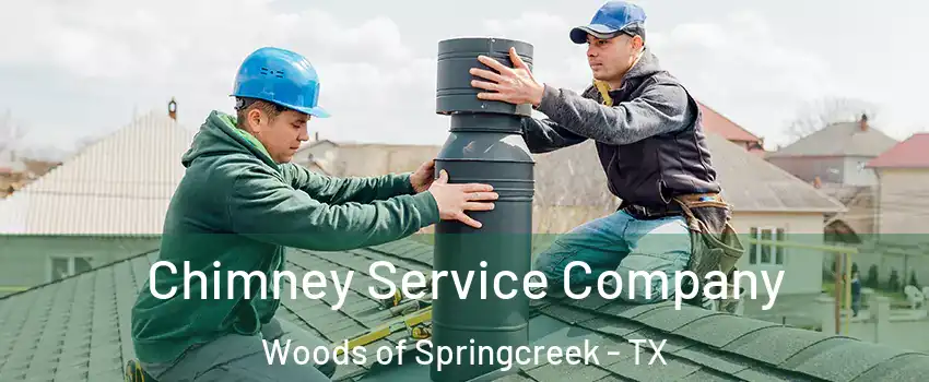 Chimney Service Company Woods of Springcreek - TX