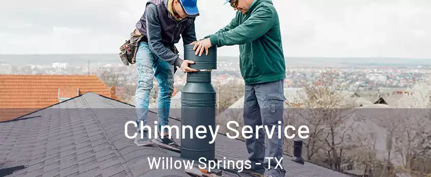 Chimney Service Willow Springs - TX