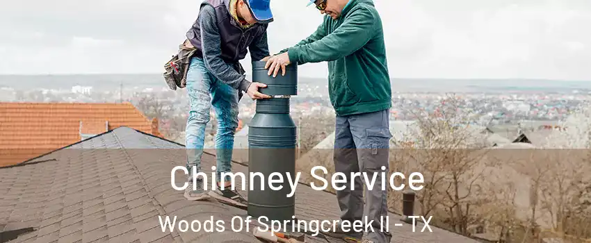 Chimney Service Woods Of Springcreek II - TX