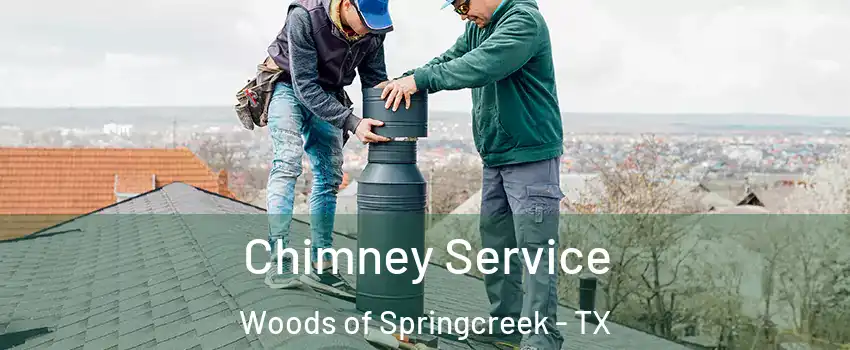Chimney Service Woods of Springcreek - TX