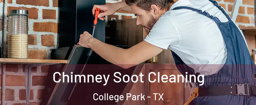 Chimney Soot Cleaning College Park - TX