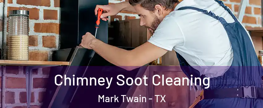 Chimney Soot Cleaning Mark Twain - TX