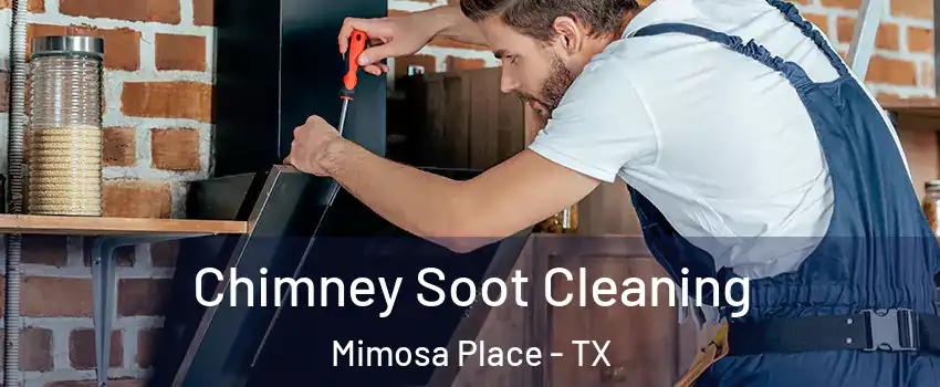 Chimney Soot Cleaning Mimosa Place - TX