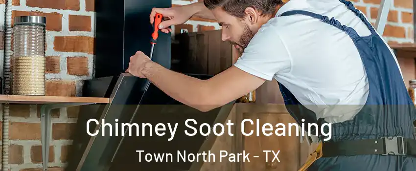 Chimney Soot Cleaning Town North Park - TX