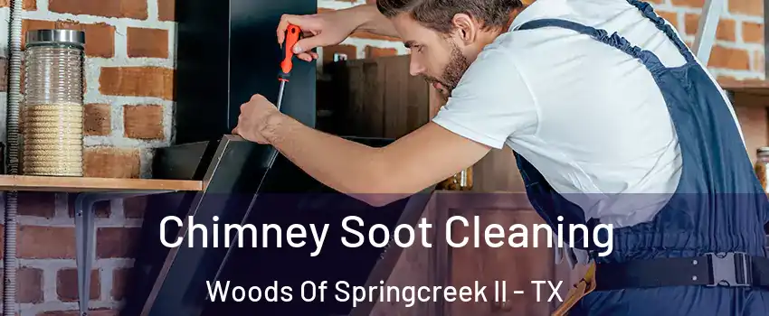 Chimney Soot Cleaning Woods Of Springcreek II - TX