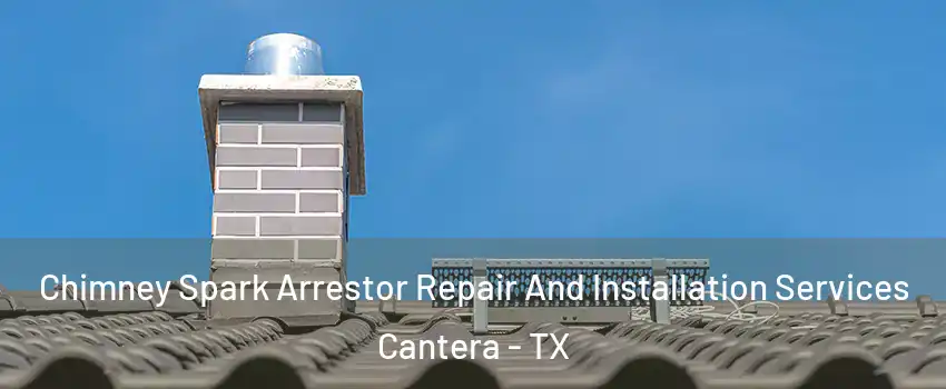 Chimney Spark Arrestor Repair And Installation Services Cantera - TX