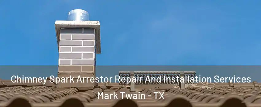 Chimney Spark Arrestor Repair And Installation Services Mark Twain - TX