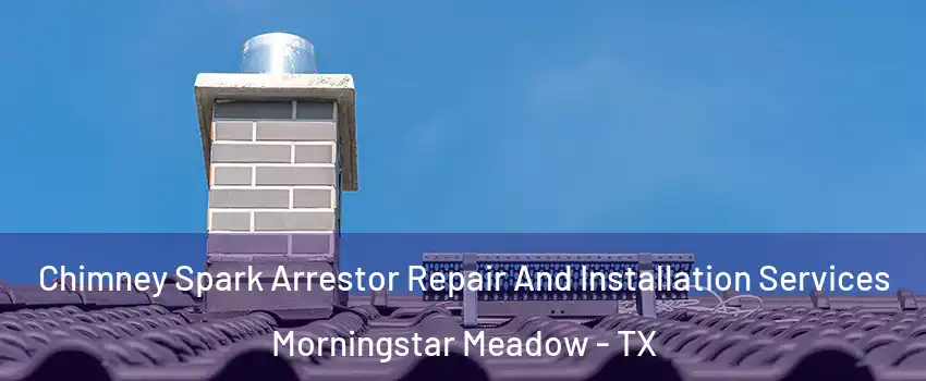 Chimney Spark Arrestor Repair And Installation Services Morningstar Meadow - TX