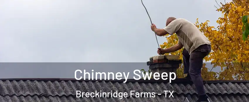 Chimney Sweep Breckinridge Farms - TX