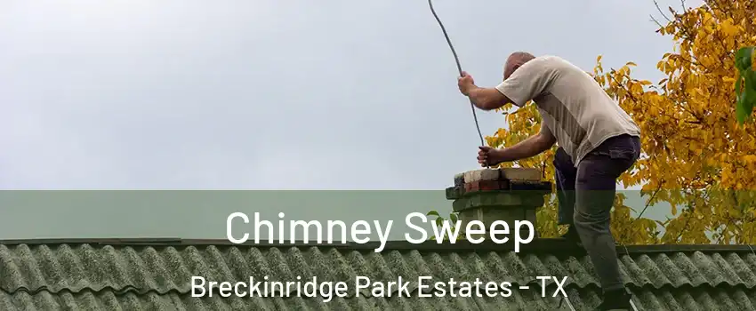 Chimney Sweep Breckinridge Park Estates - TX