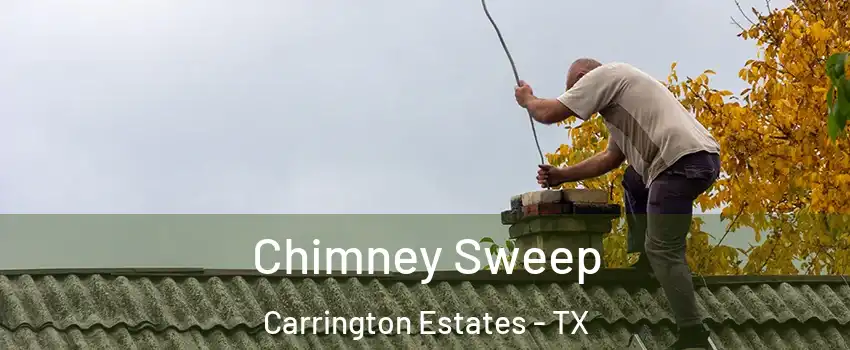 Chimney Sweep Carrington Estates - TX