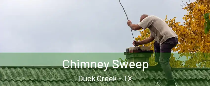 Chimney Sweep Duck Creek - TX
