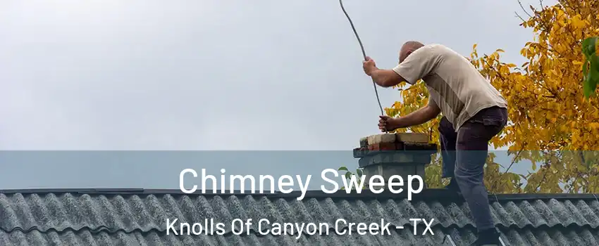 Chimney Sweep Knolls Of Canyon Creek - TX