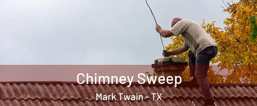 Chimney Sweep Mark Twain - TX