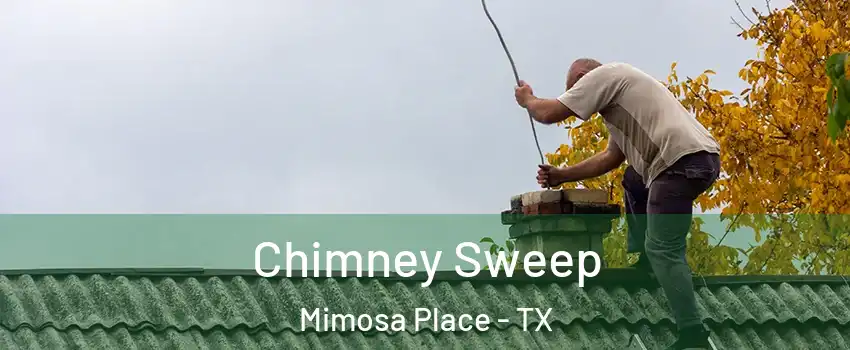 Chimney Sweep Mimosa Place - TX