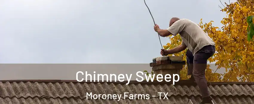 Chimney Sweep Moroney Farms - TX
