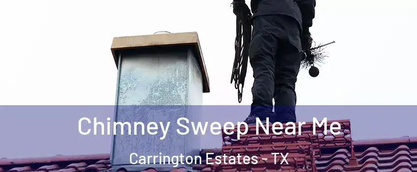 Chimney Sweep Near Me Carrington Estates - TX