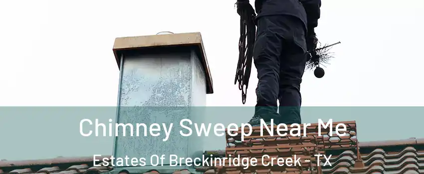 Chimney Sweep Near Me Estates Of Breckinridge Creek - TX