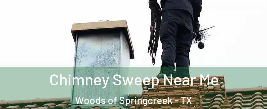 Chimney Sweep Near Me Woods of Springcreek - TX