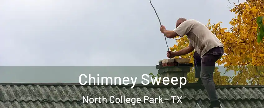 Chimney Sweep North College Park - TX