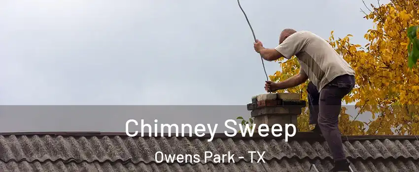 Chimney Sweep Owens Park - TX