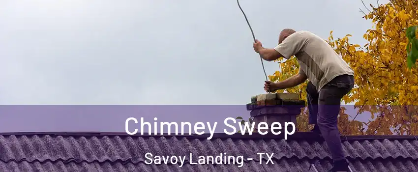 Chimney Sweep Savoy Landing - TX